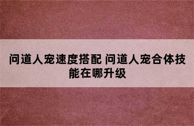 问道人宠速度搭配 问道人宠合体技能在哪升级